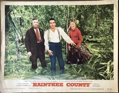 Raintree County Lobby Cards (5) image 2