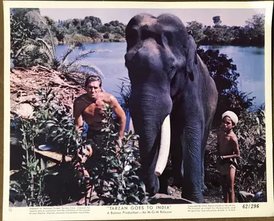 Tarzan Goes to India Color Still Set Of 12 image 3