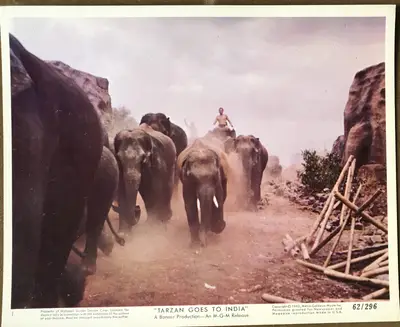 Tarzan Goes to India Color Still Set Of 12 image 6