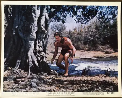 Tarzan Goes to India Color Still Set Of 12 image 8