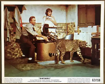 Hatari! Color Stills (7) image 3