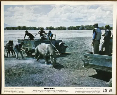 Hatari! Color Stills (7) image 5