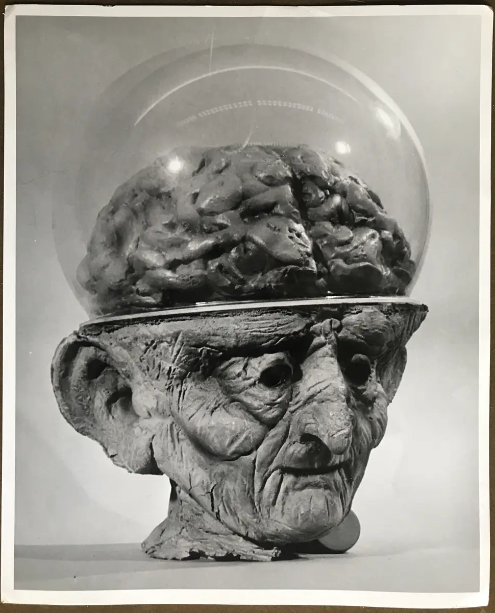 The Wizard of Mars 'Head-Shot' of The Wizard