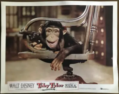Toby Tyler or Ten Weeks with a Circus Lobby Card Set Of 8 image 4