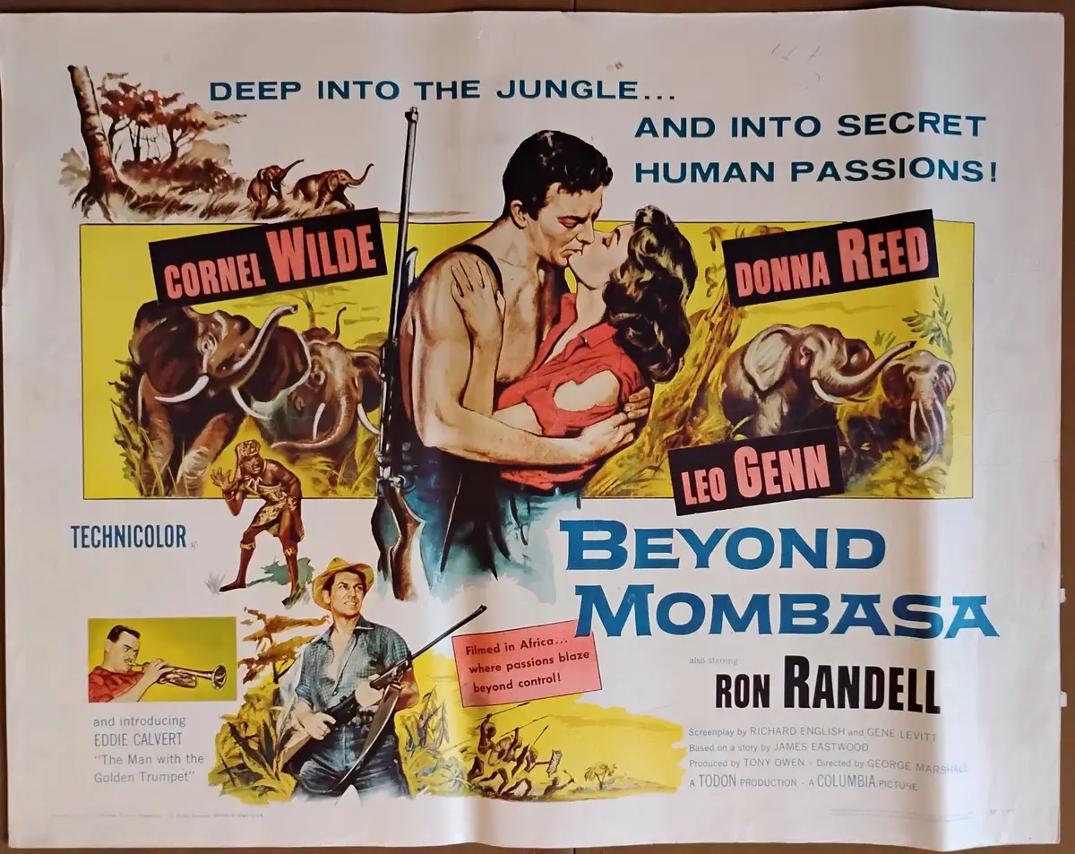 Beyond Mombasa Half Sheet