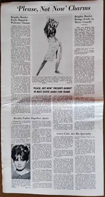 Please, Not Now! Press Book image 2