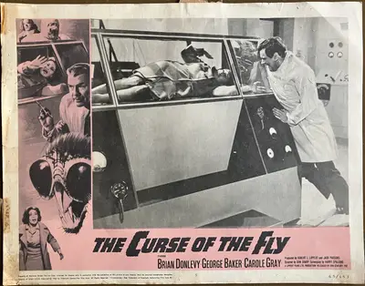 Sci-Fi/Horror Lobby Card Lot Of 46 (1950's/1960's) Various Titles. image 3