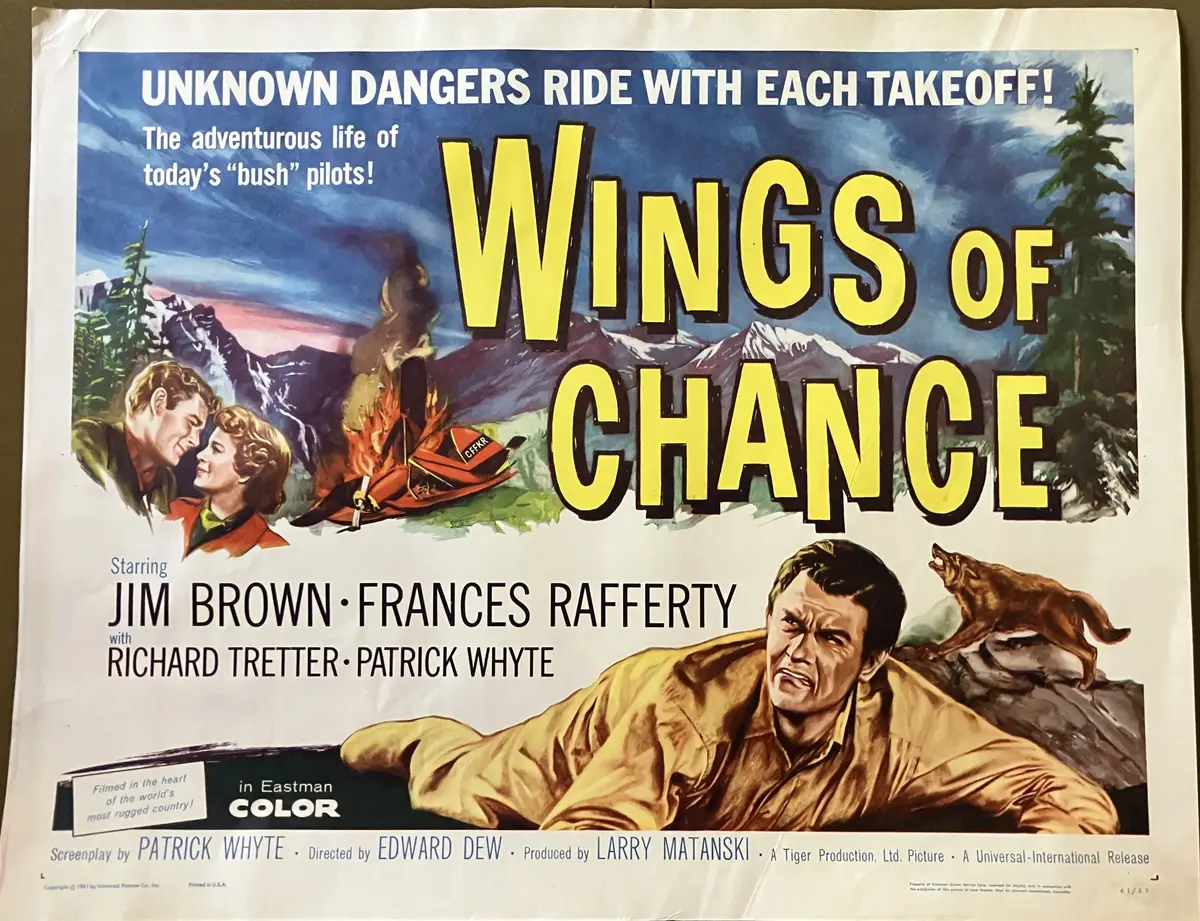 Wings of Chance Half Sheet
