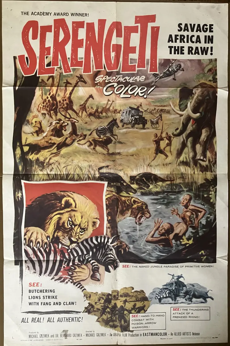 Serengeti AKA Serengeti Shall Not Die One Sheet